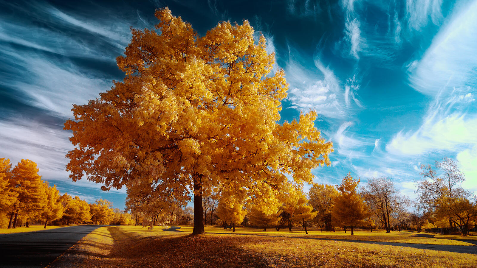 Wallpapers sky autumn landscape on the desktop