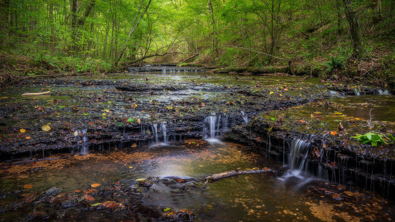 Wallpapers Stillhouse Hollow Falls Tennessee forest on the desktop