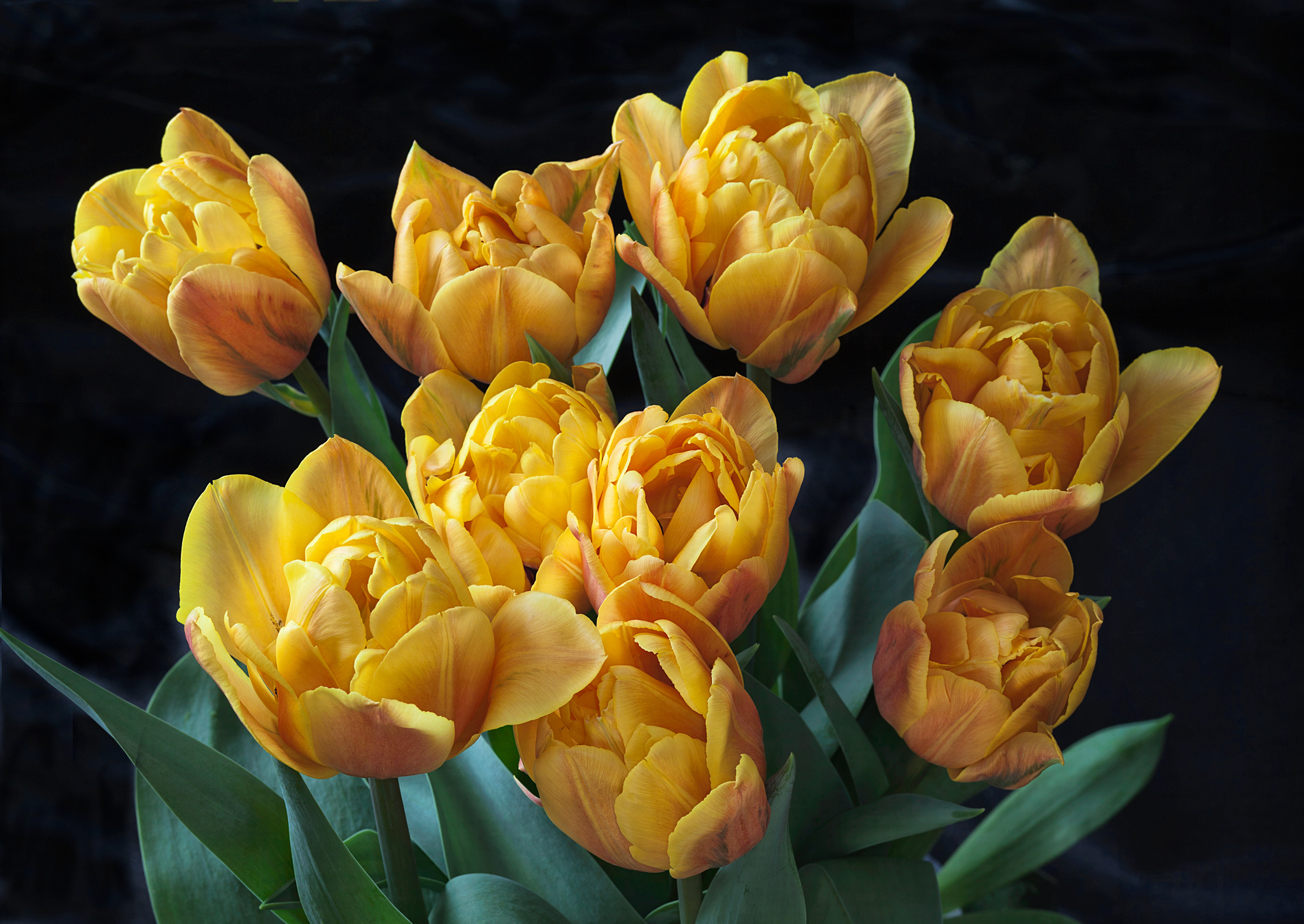 Фото бесплатно жёлтые тюльпаны, букет, цветы