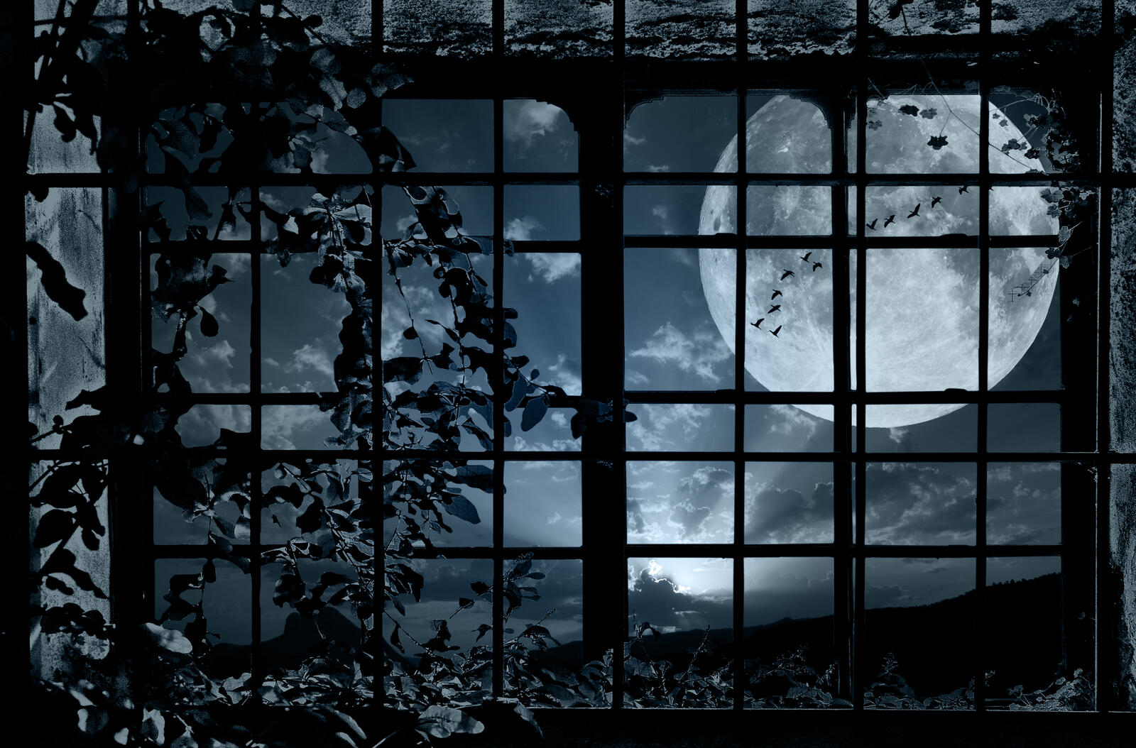 Wallpapers grille moon night on the desktop