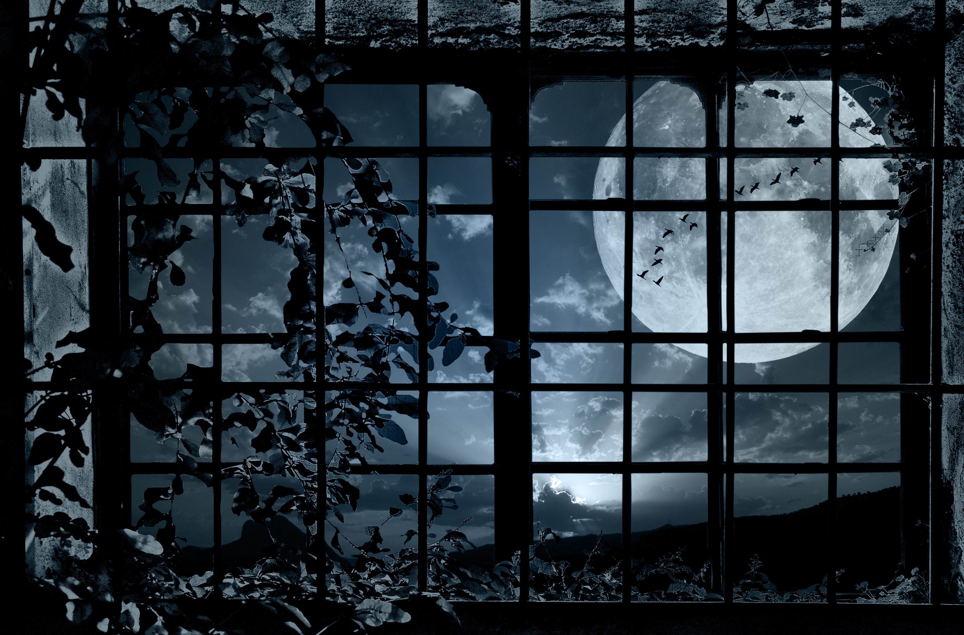 Wallpapers grille moon night on the desktop