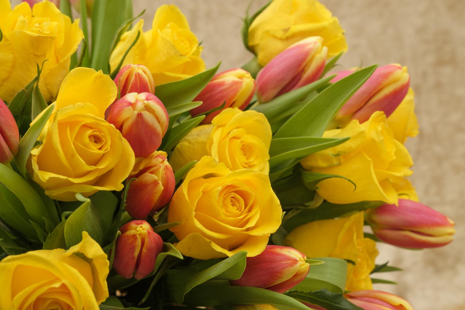 Обои флора икебана тюльпаны на рабочий стол