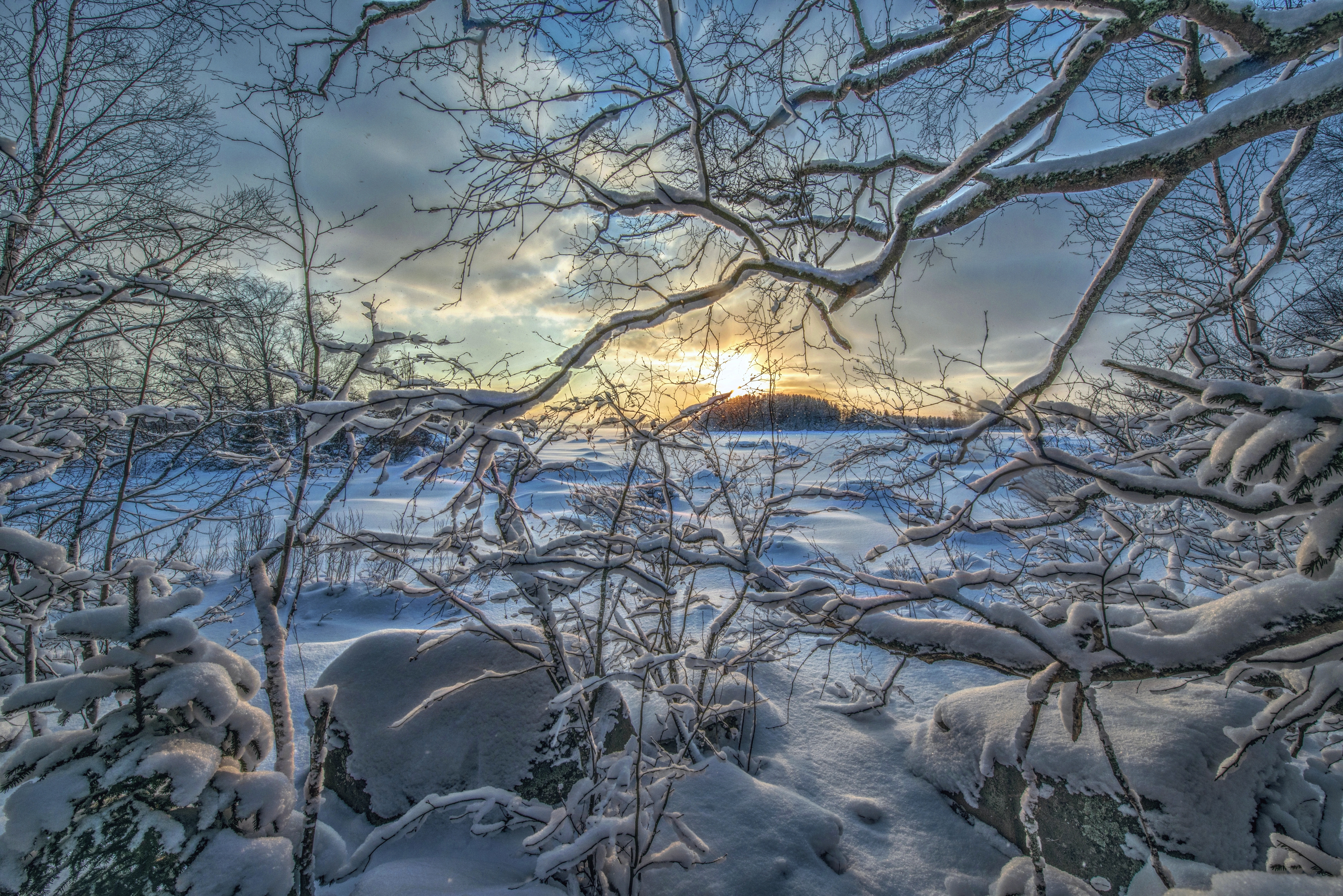 Фото бесплатно Сугробы, ветви деревьев, снег