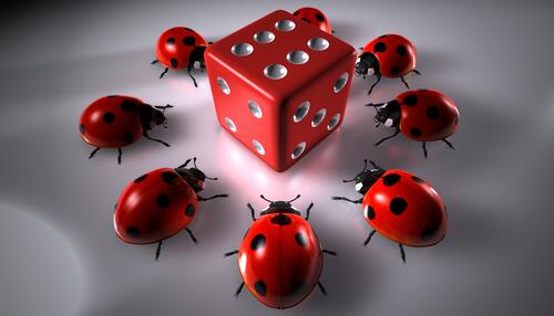 Ladybugs and dice