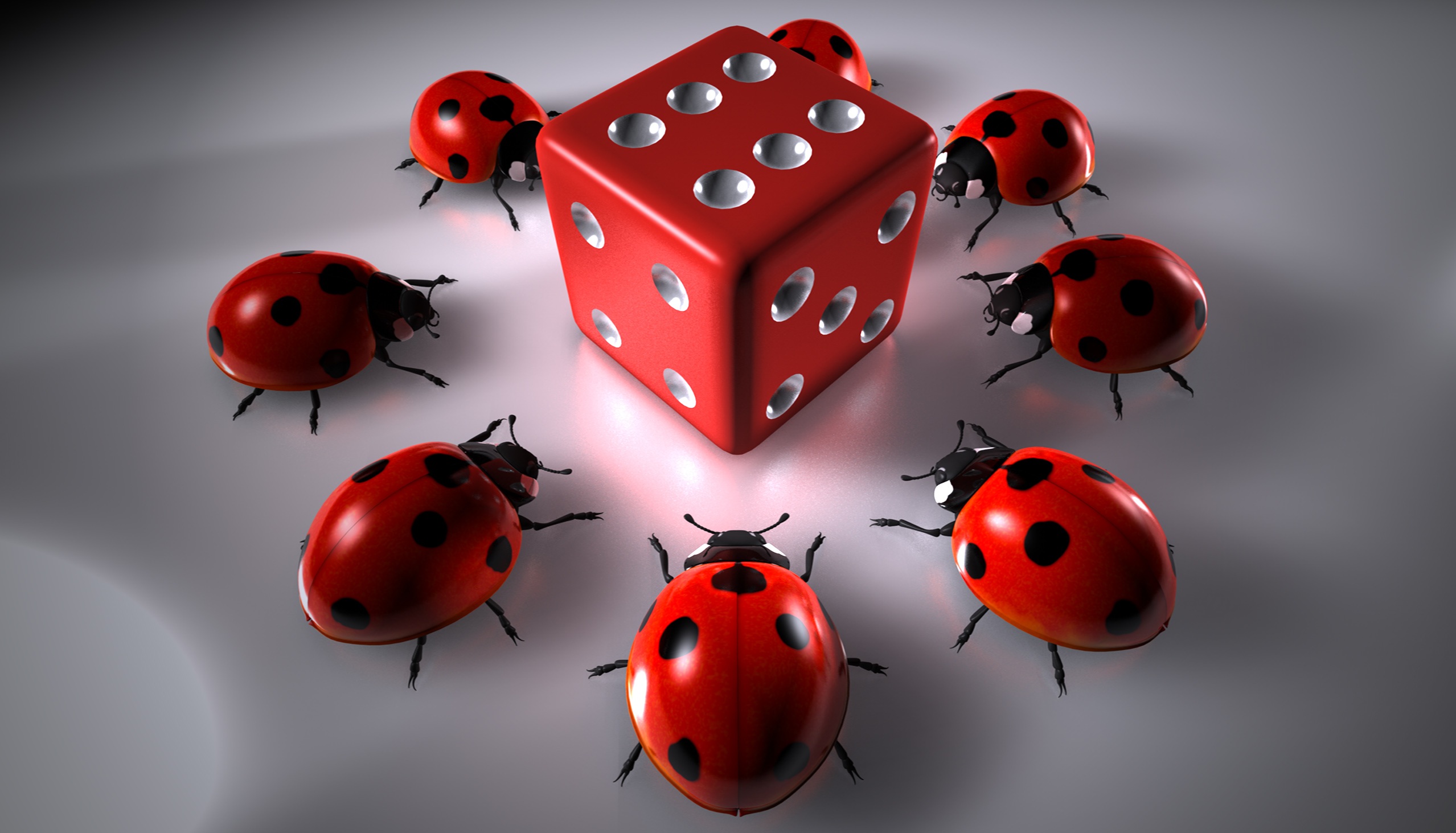 Ladybugs and dice · free photo