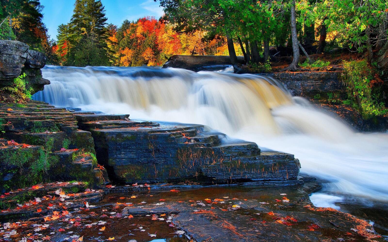Бесплатное фото Осенний лес с водопадом