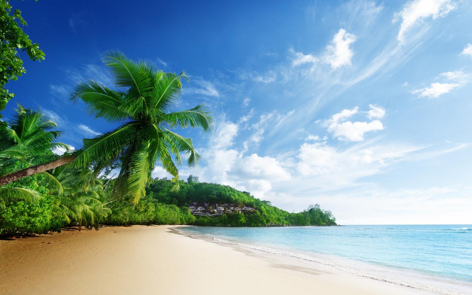 Бесплатное фото Голубая вода на острове с пальмами