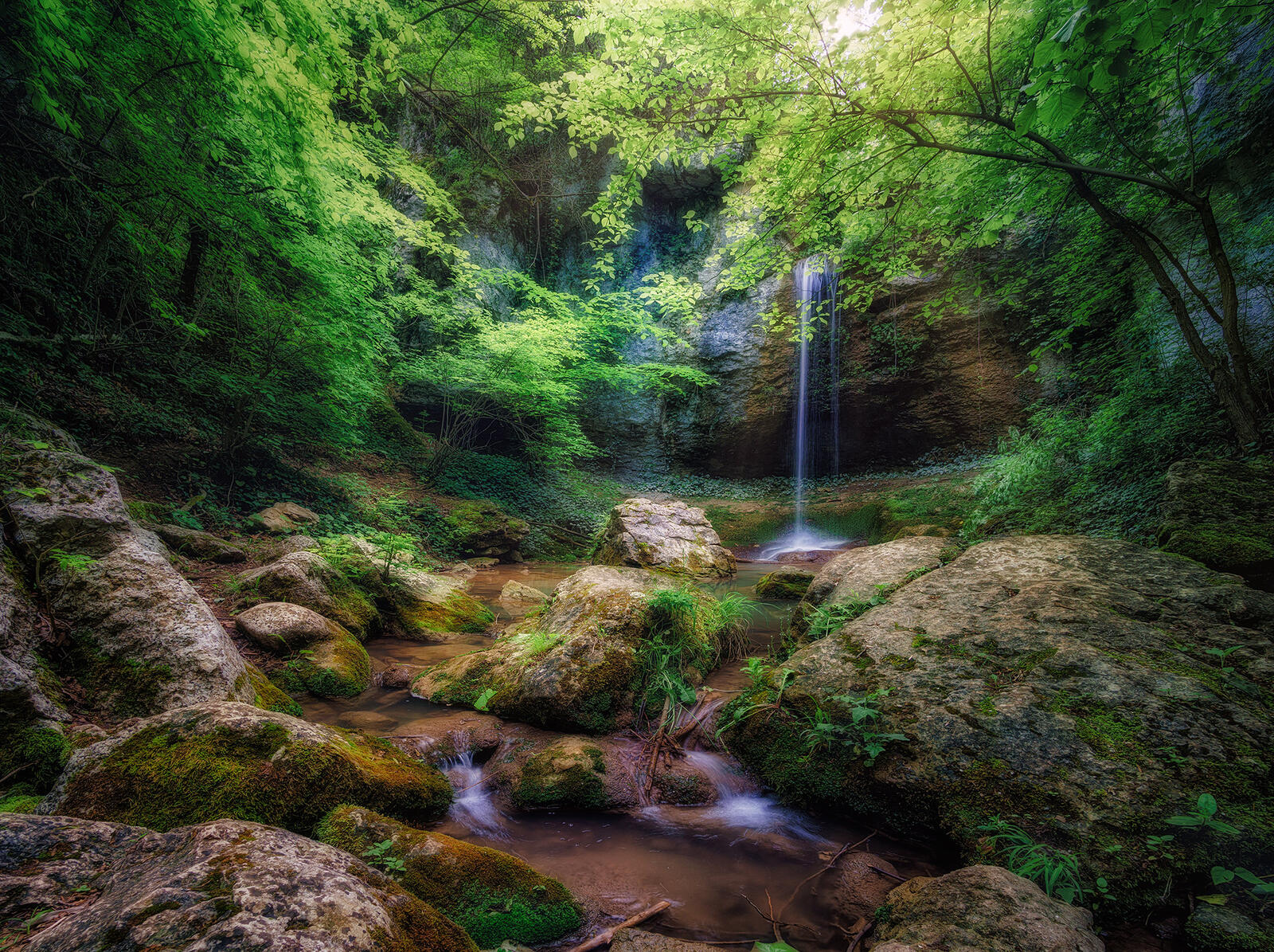 Бесплатное фото Заставка речка, лес на монитор