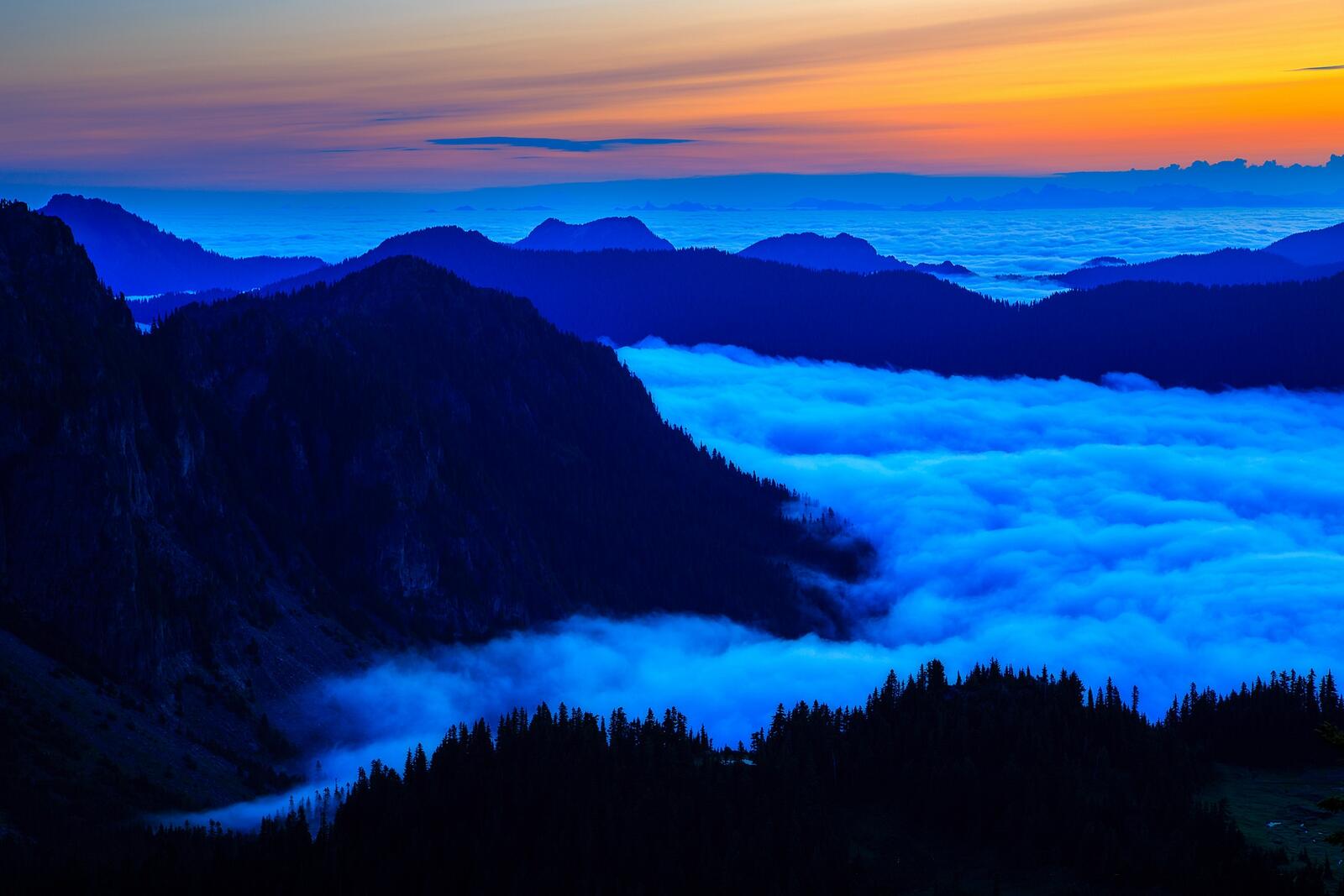 Wallpapers National Park mount Rainier the sea of clouds mountains on the desktop