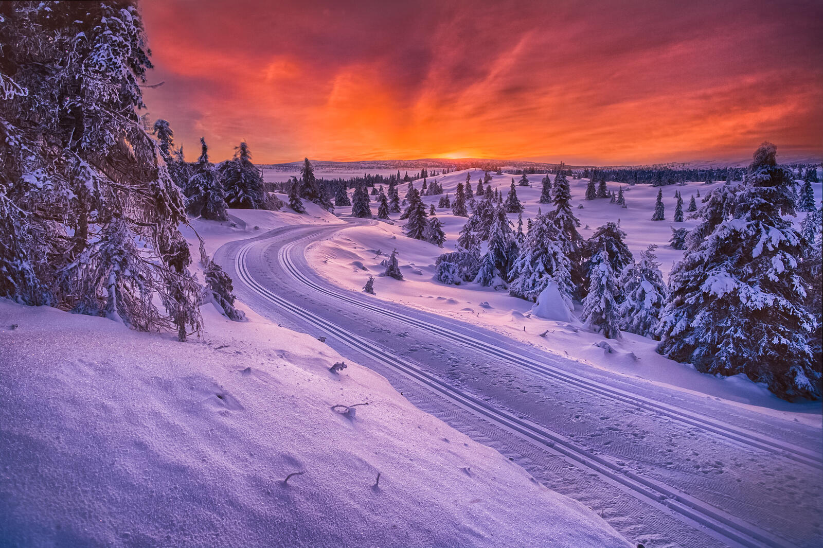 Обои пейзаж зимняя дорога снежная дорога на рабочий стол