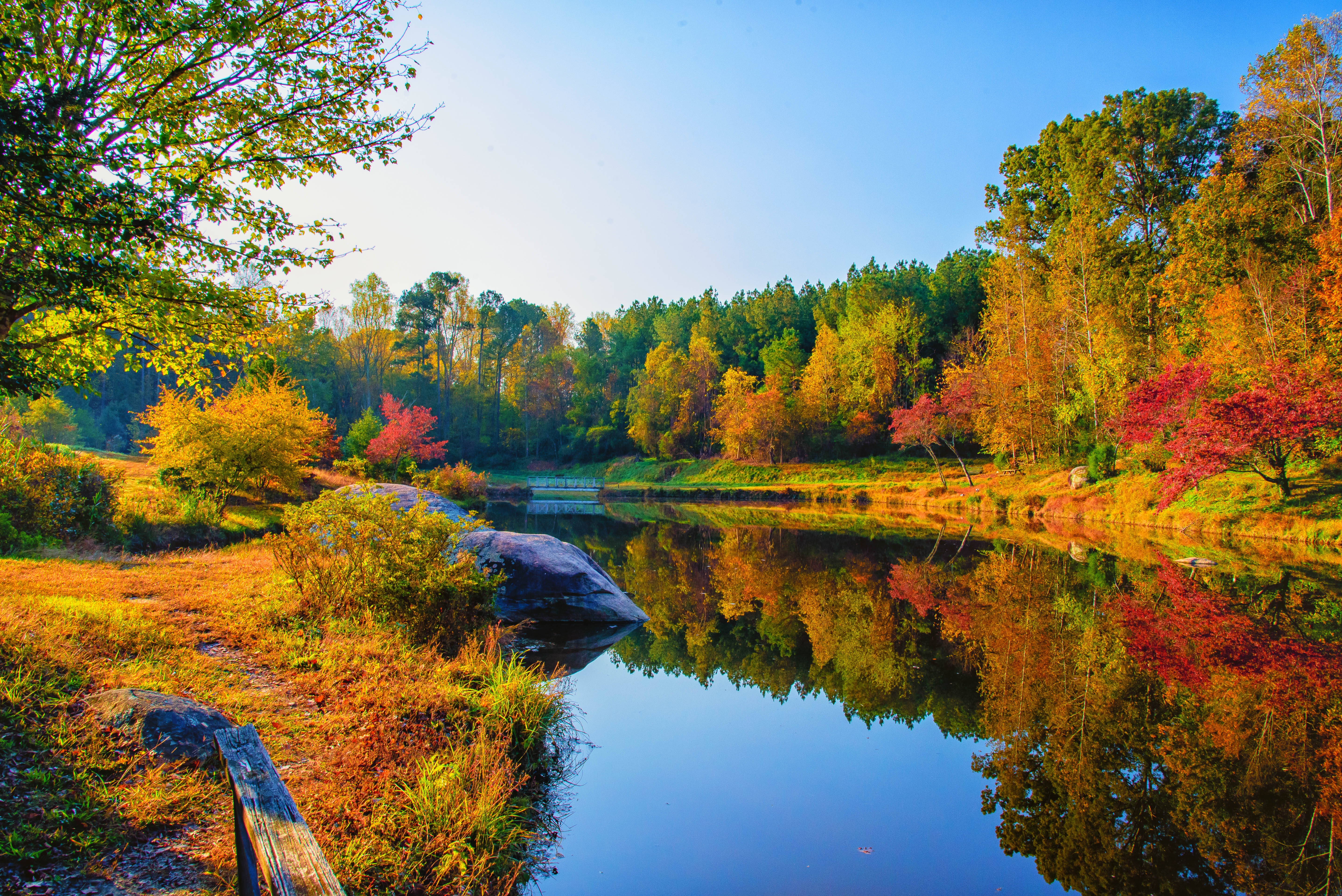 Фото бесплатно Fall at DeHart Botanical Gardens, Franklin County, NC