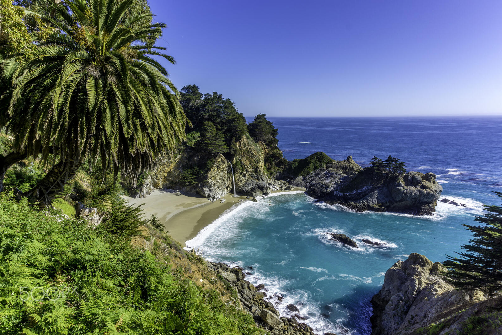Wallpapers McWay Falls palm trees summer on the desktop