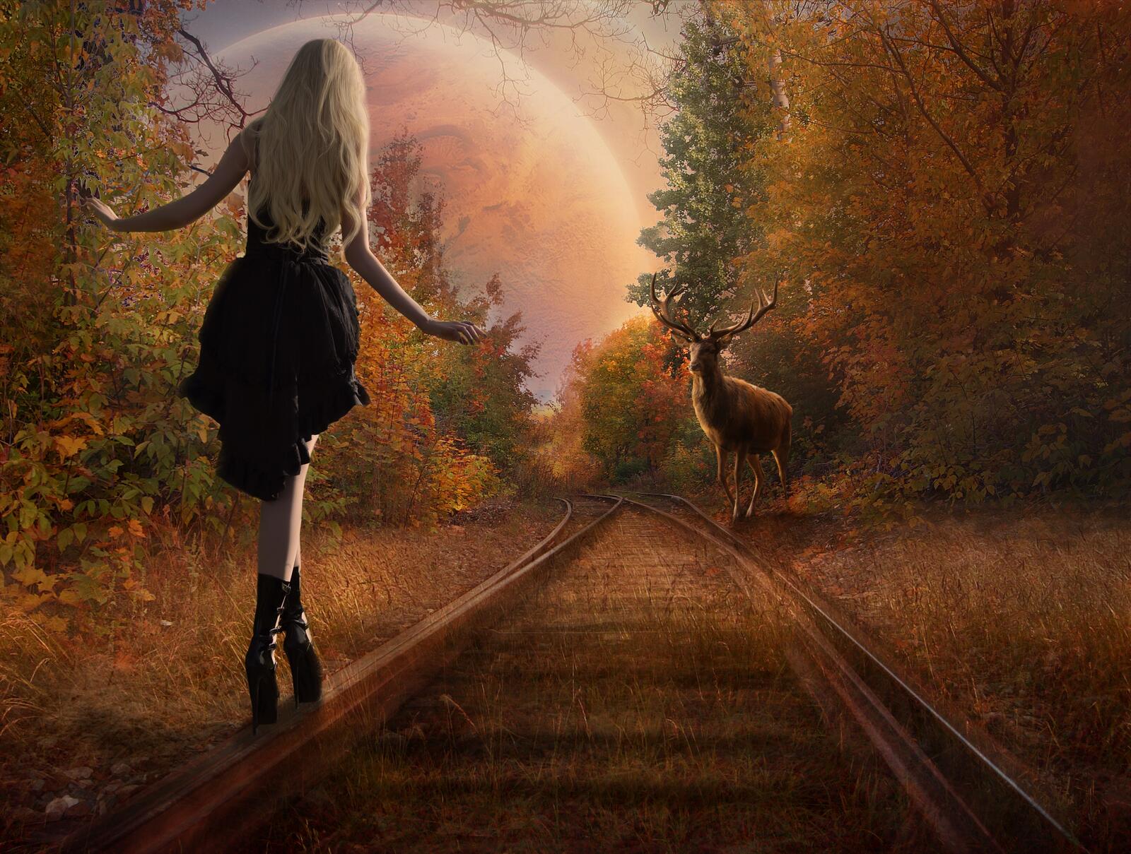 Бесплатное фото девушка и олень