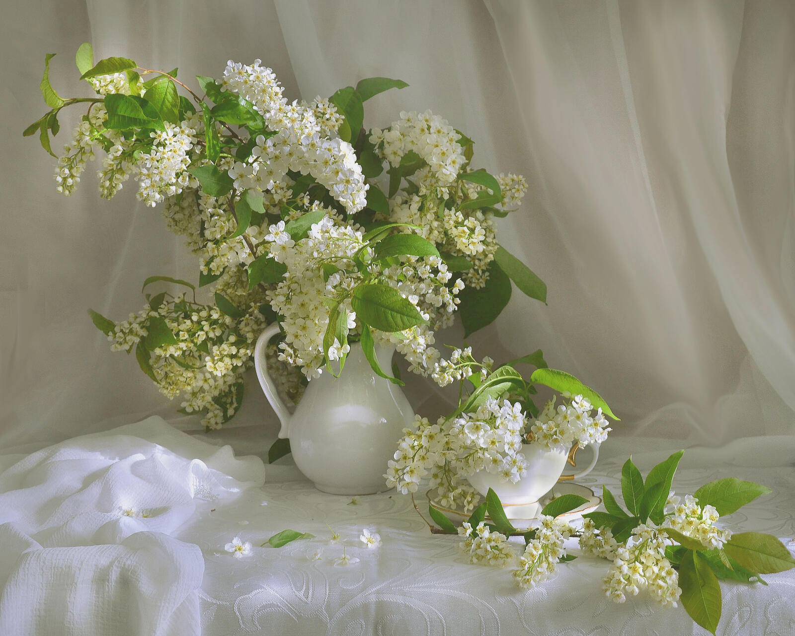 桌面上的壁纸背景 白花 鲜花