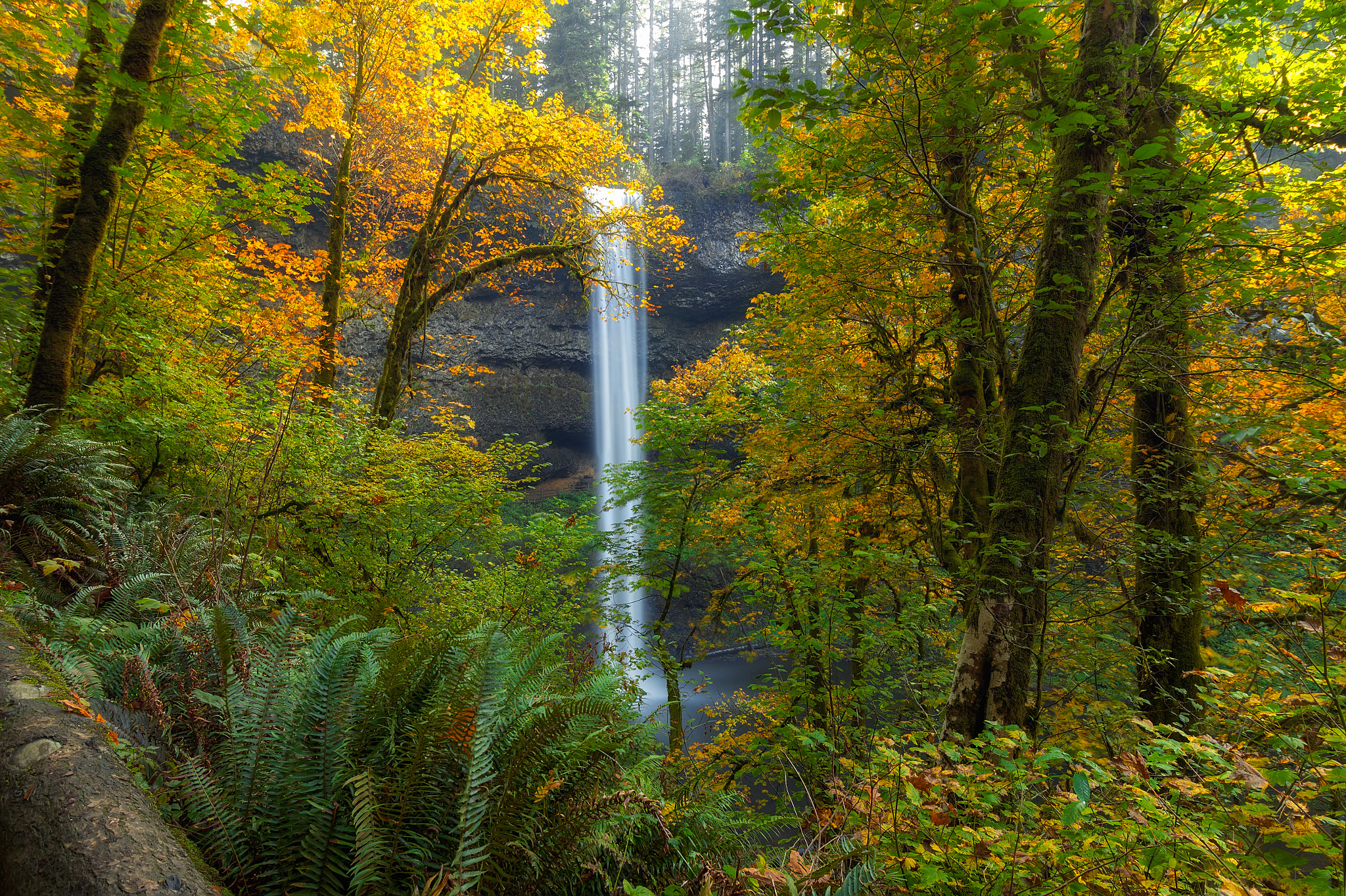 Wallpapers South Falls Silver Falls State Park Oregon on the desktop