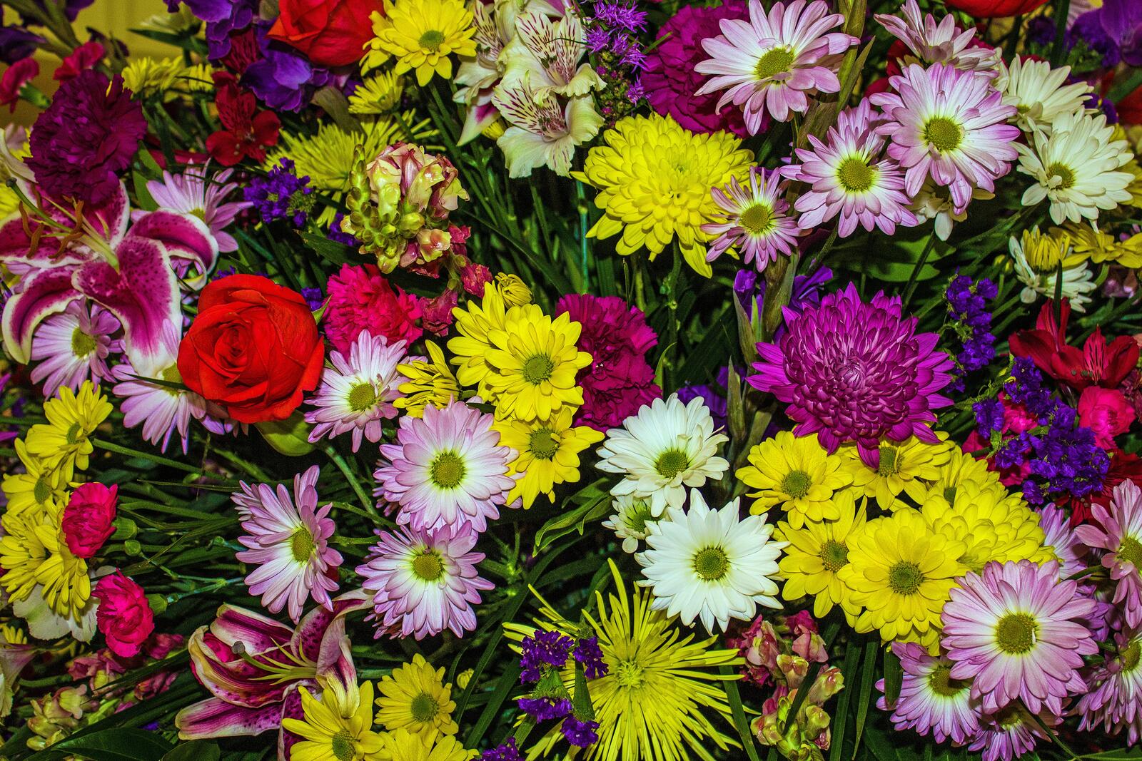 Обои флора букет цветочная композиция на рабочий стол
