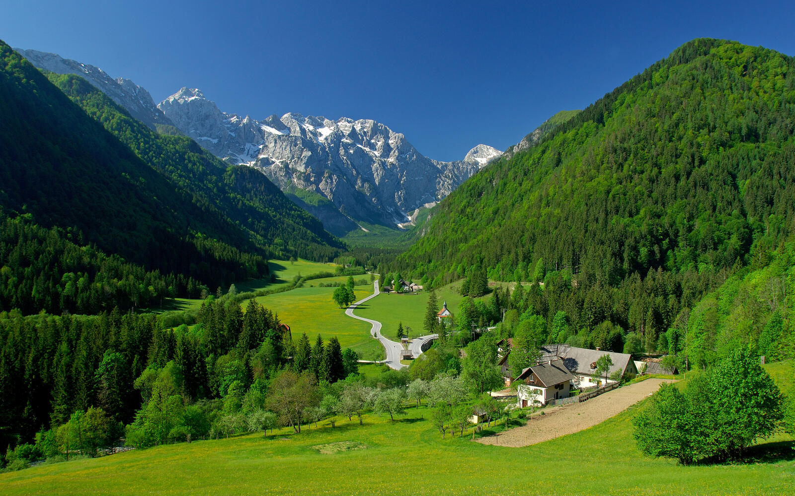 Бесплатное фото Альпийские поля
