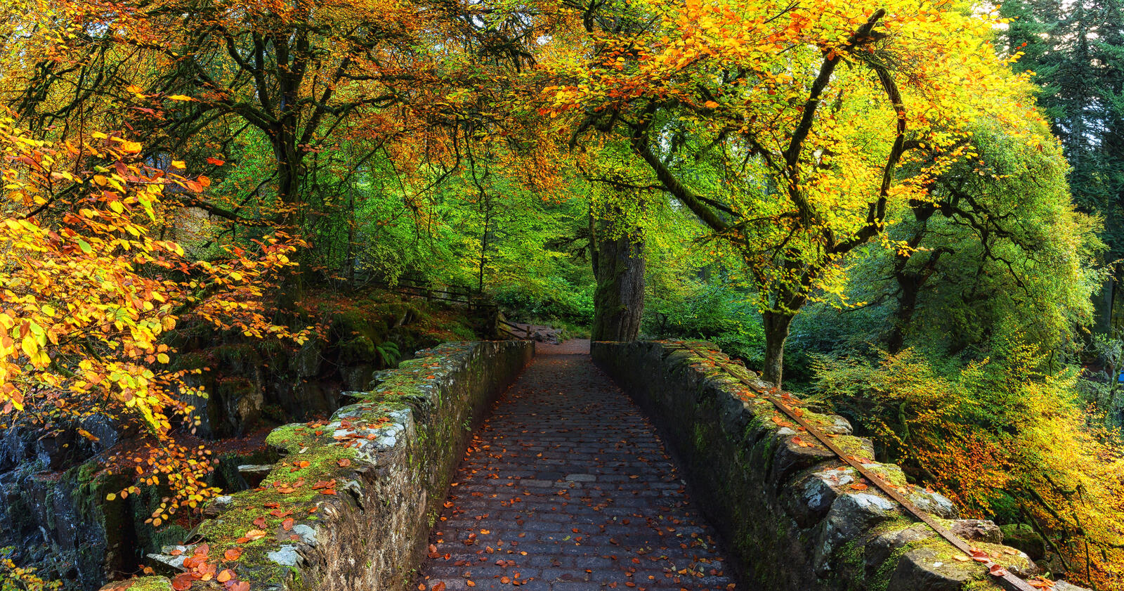 Шотландия - Осенние цвета