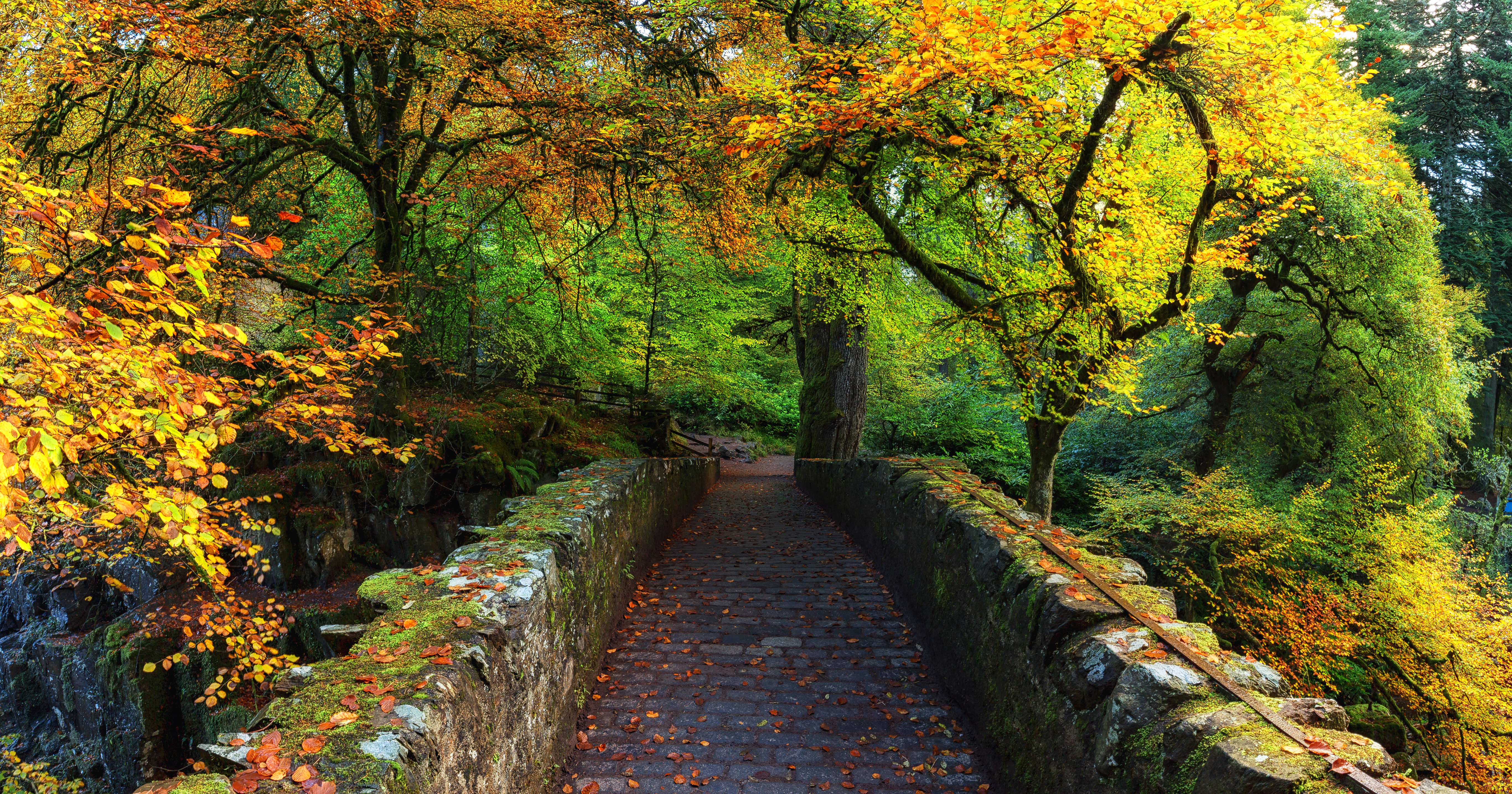 Бесплатное фото Шотландия - Осенние цвета