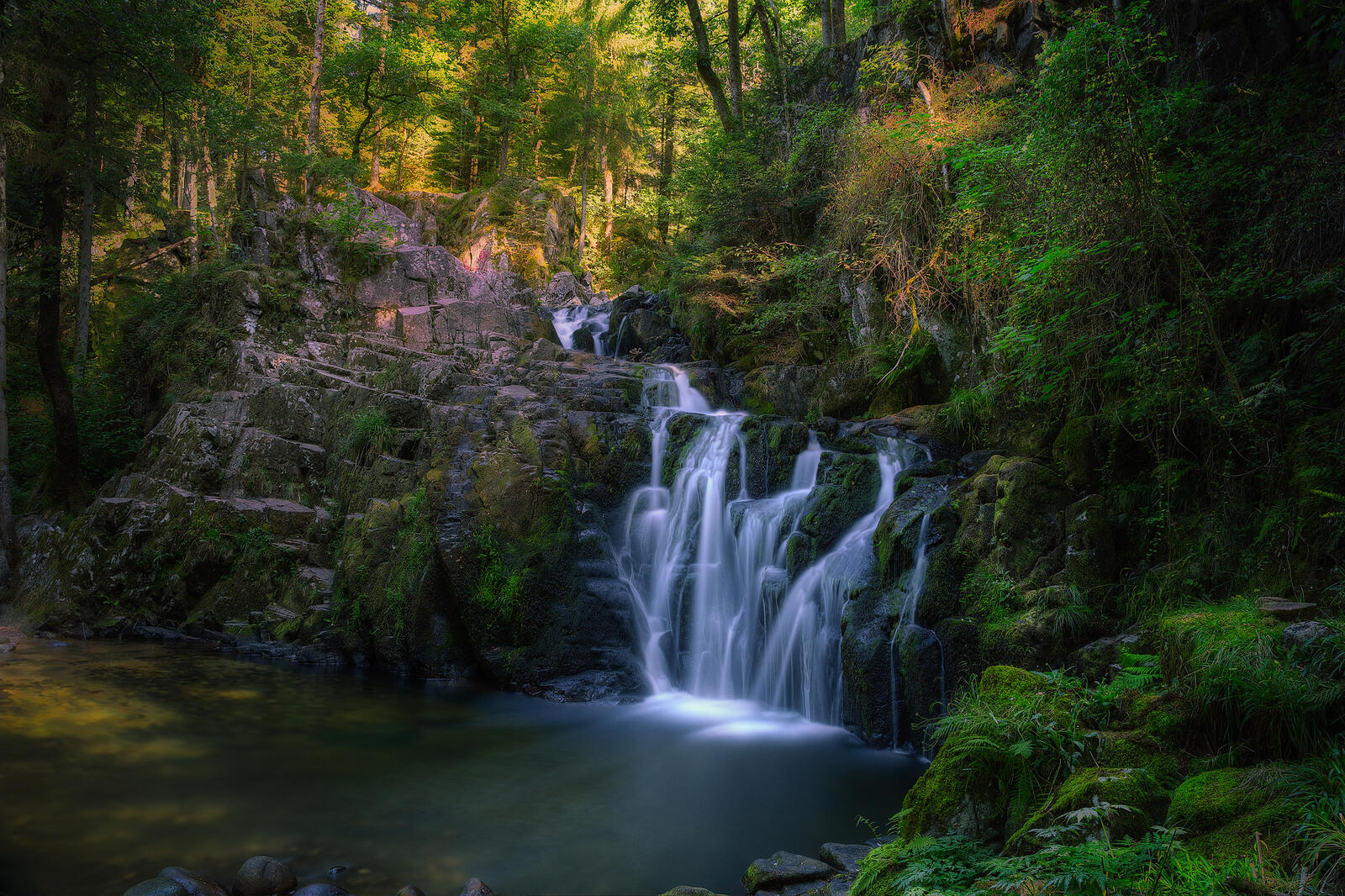 免费照片一个有瀑布的森林回水