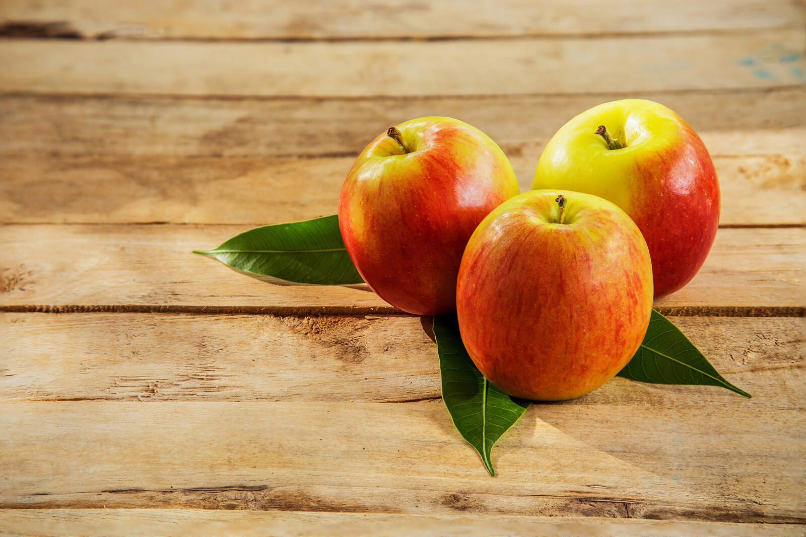 Бесплатное фото Три аппетитных яблочка