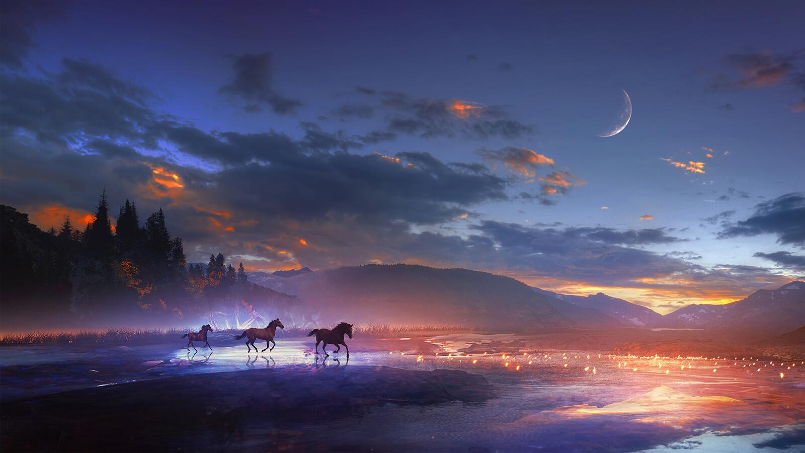 Wallpapers night horses month on the desktop