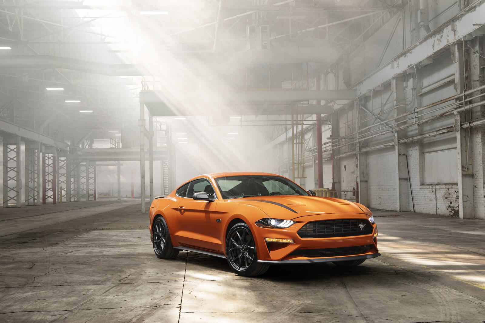 Wallpapers Ford Mustang automobiles front of on the desktop