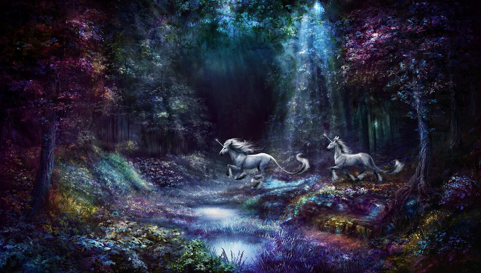 Wallpapers fairy horses fantasy glow on the desktop