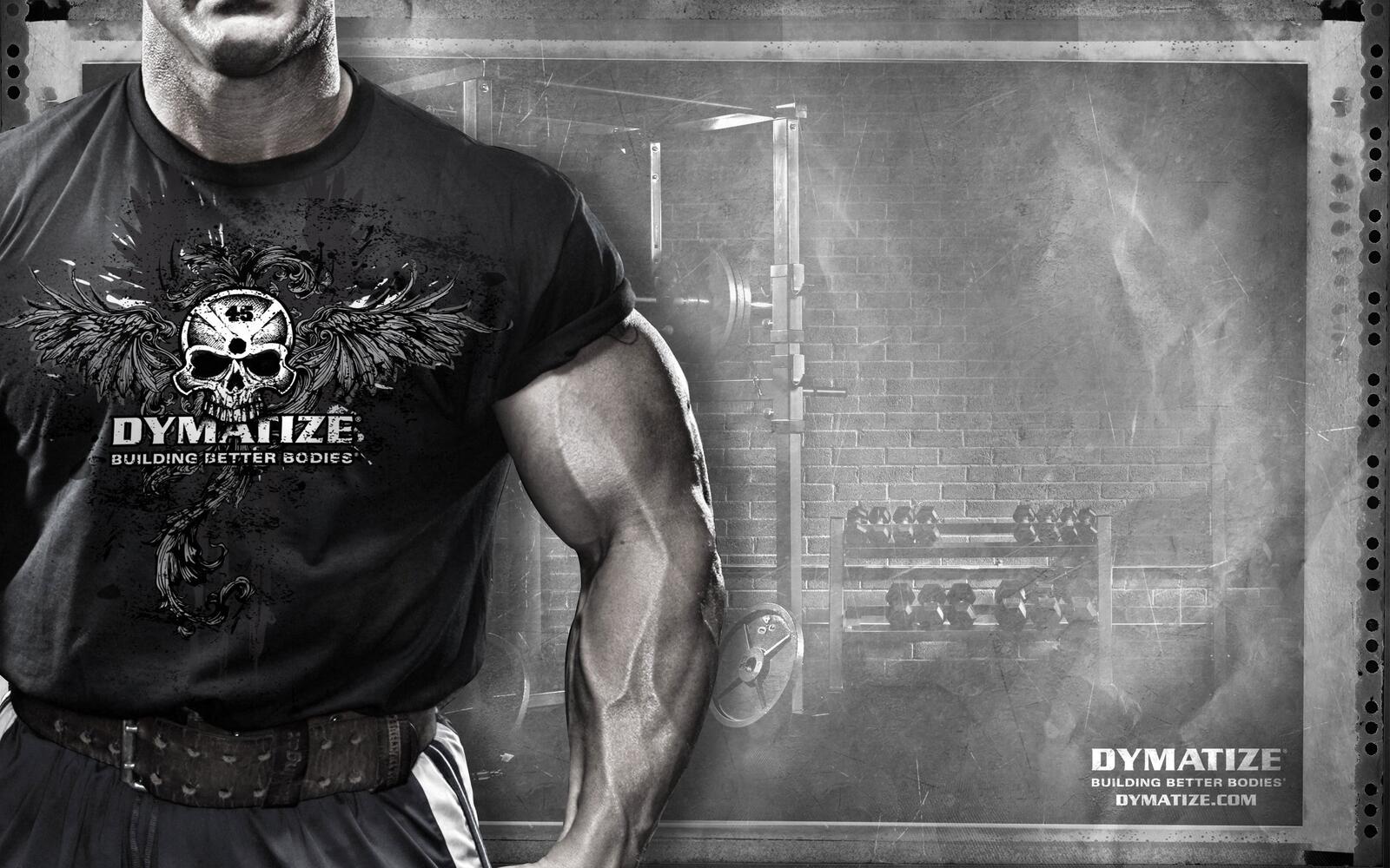 Wallpapers andy bodybuilding dymatize on the desktop