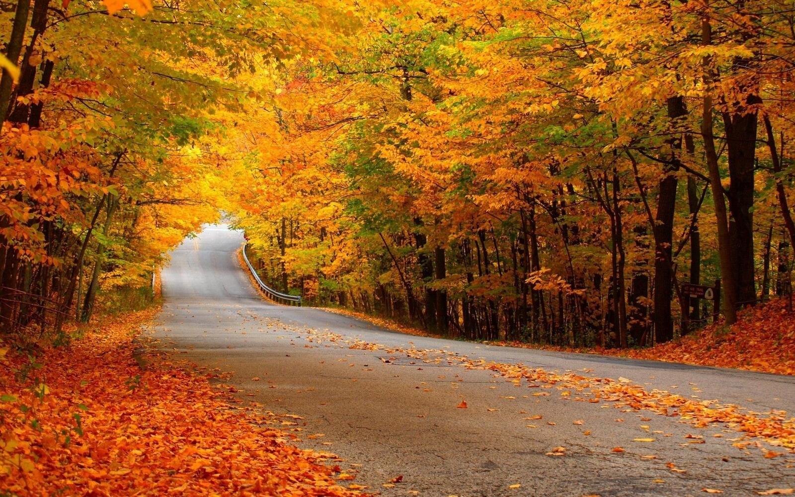 Wallpapers colors road autumn on the desktop