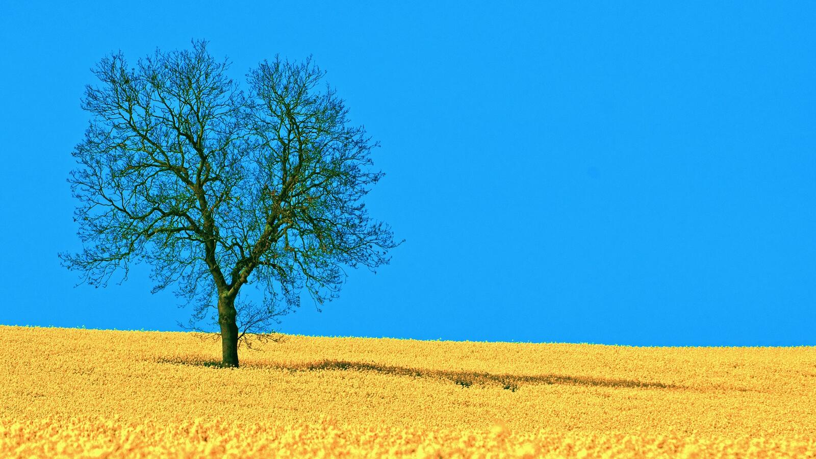 Wallpapers blue horizon landscapes on the desktop
