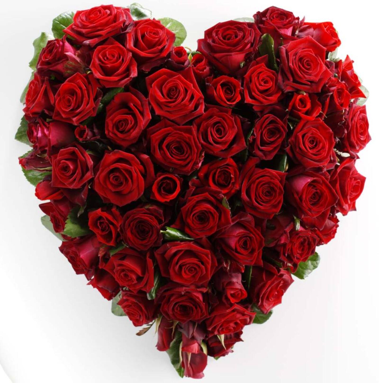 Wallpapers bouquet of roses love heart on the desktop