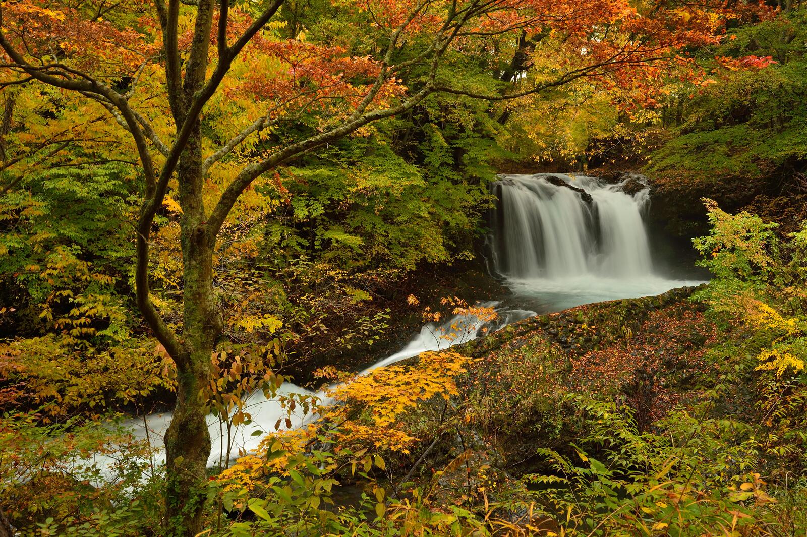 Free photo autumn waterfall