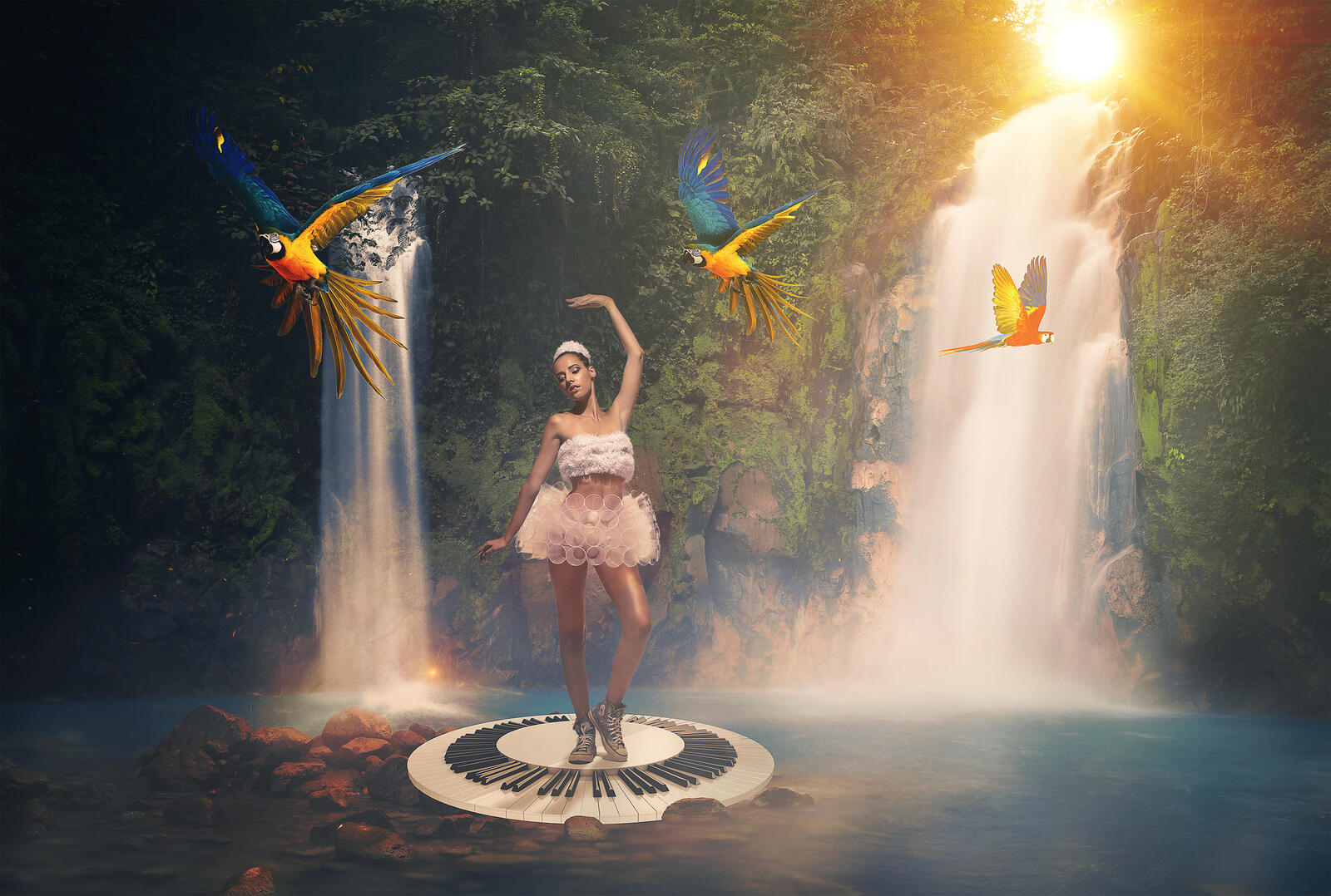 Wallpapers dancing by the waterfall waterfall parrots on the desktop
