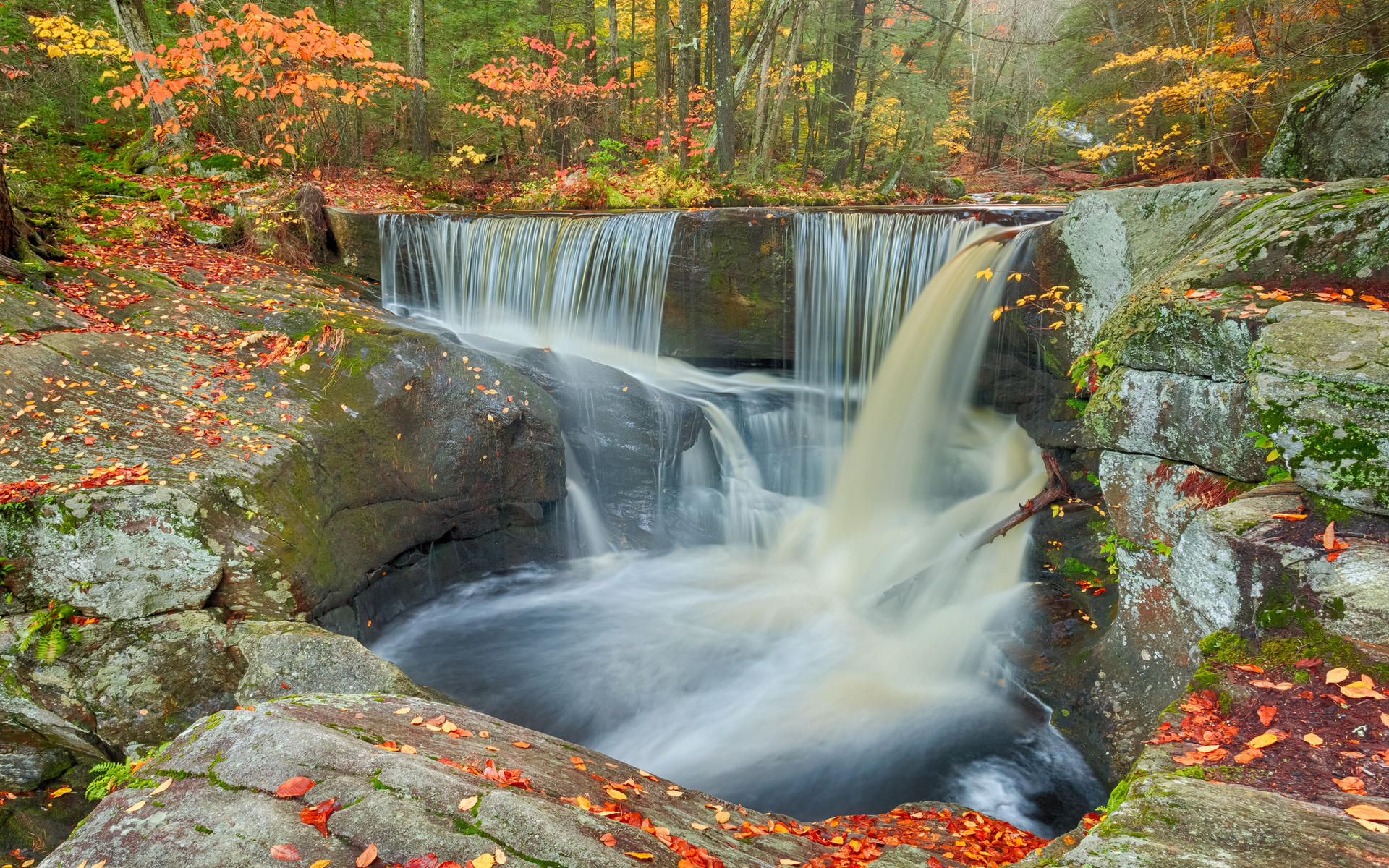 Бесплатное фото Осенний водопад в лесу