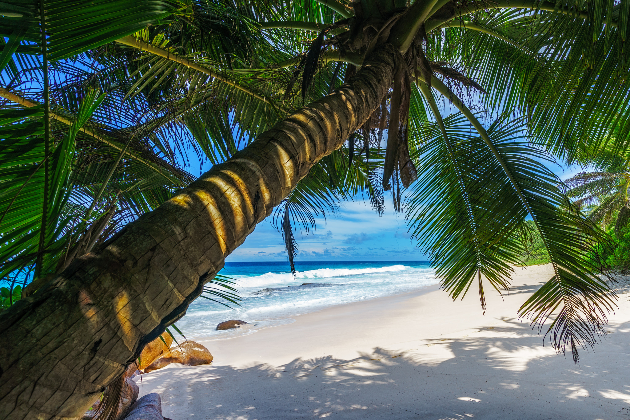 Photo free sky, sand, seychelles