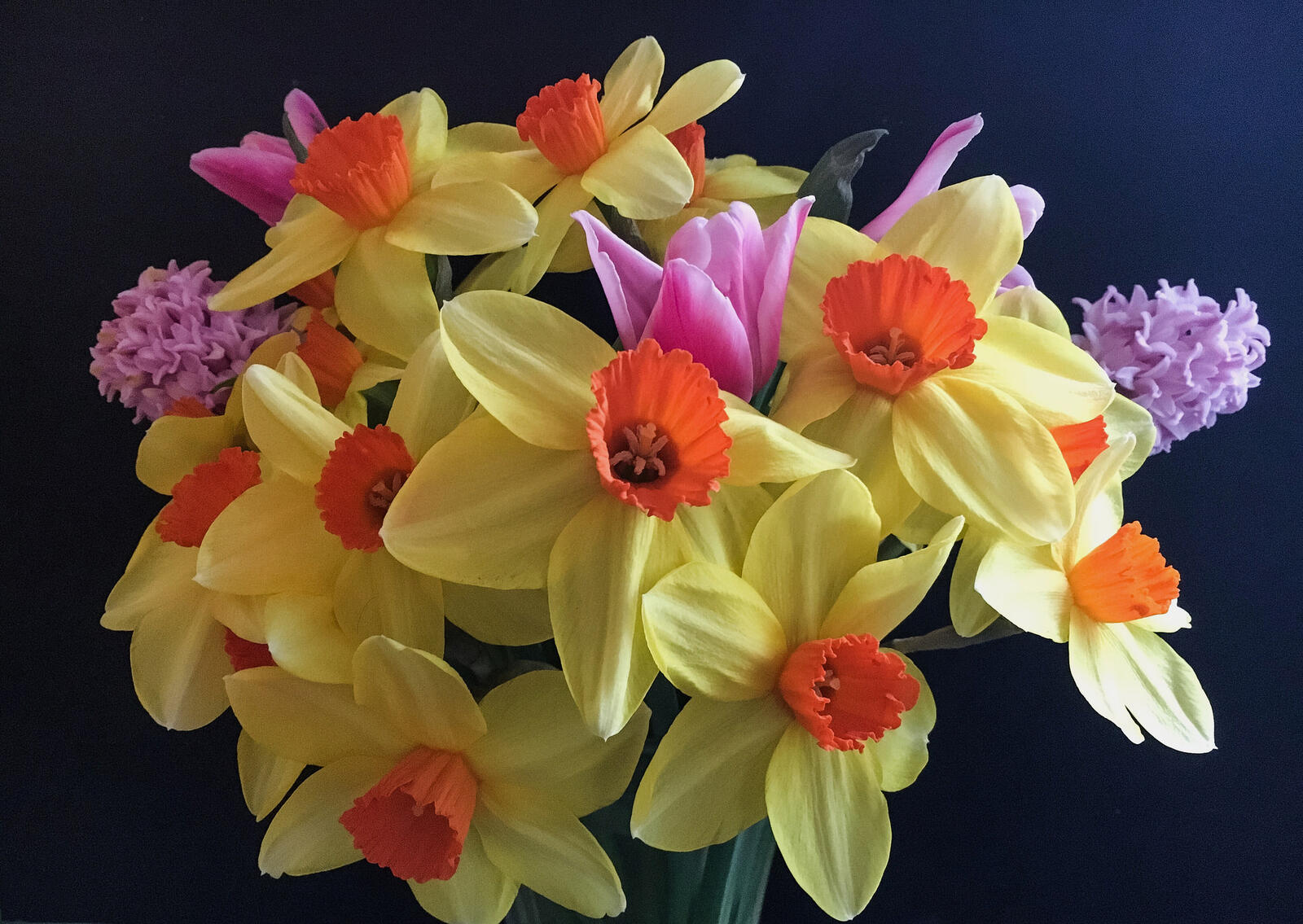 Обои Нарциссы букет цветы на рабочий стол