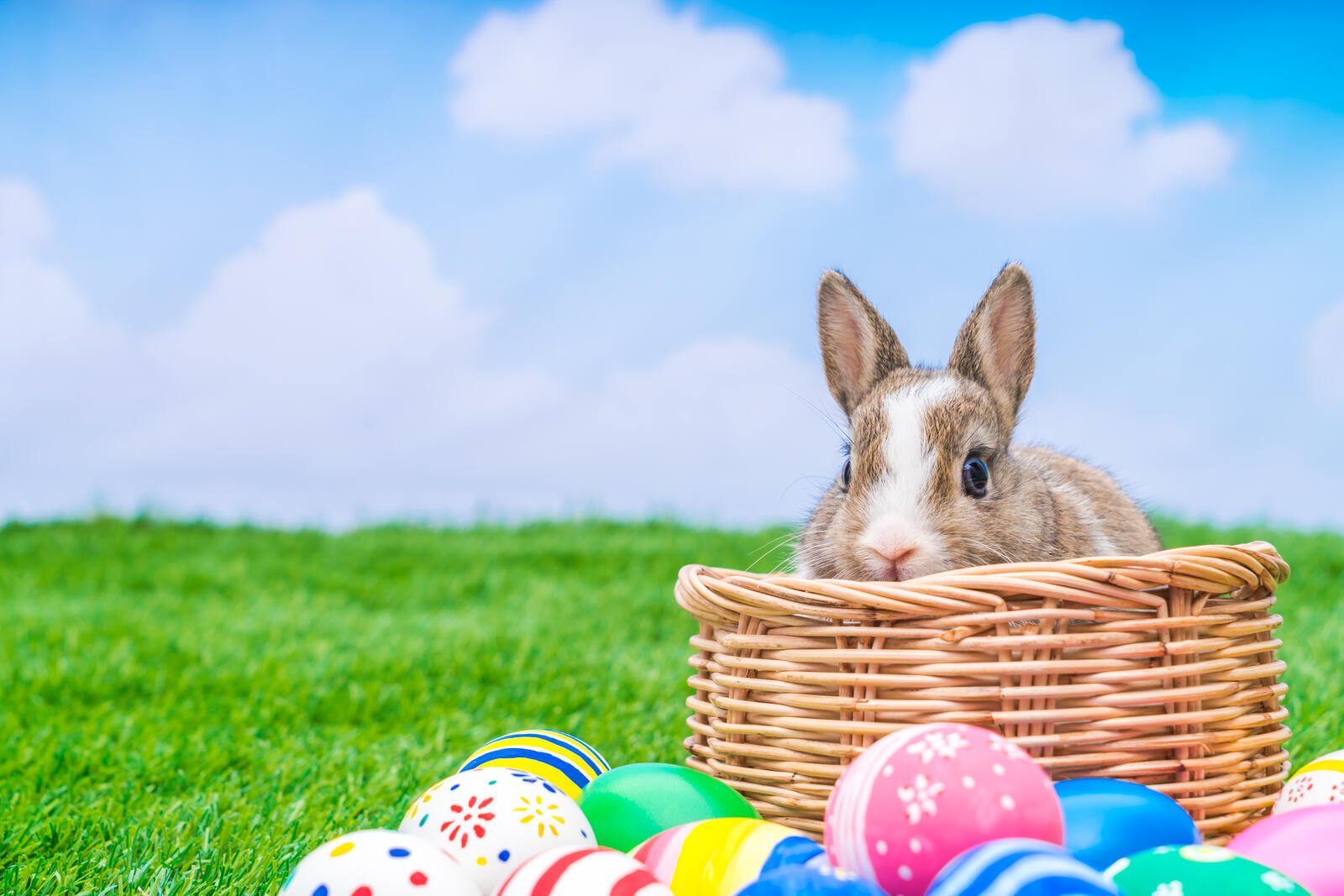 Wallpapers Easter verily risen Easter bunny on the desktop