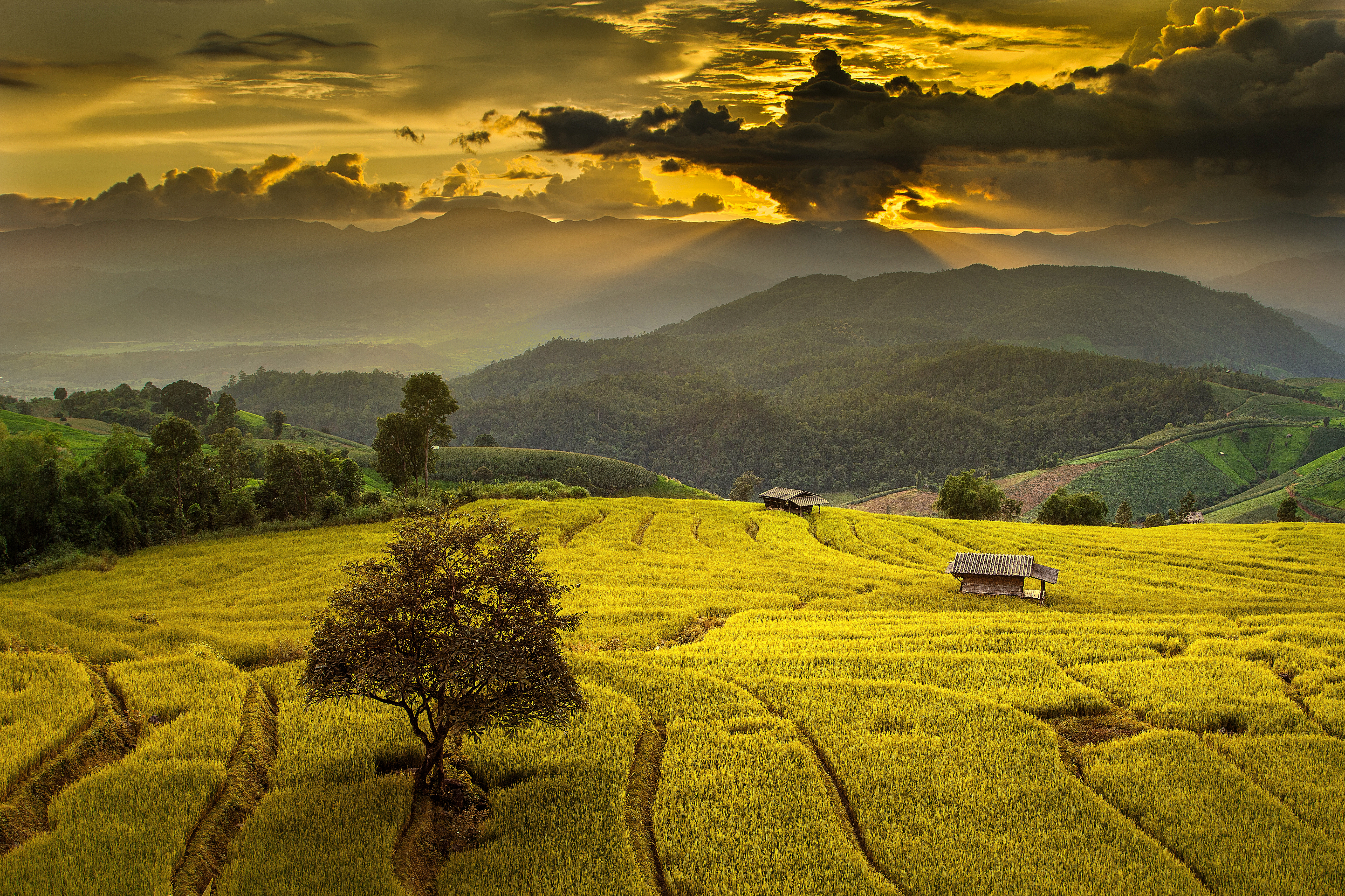 Wallpapers Ban Papongpieng Chiang mai Thailand on the desktop