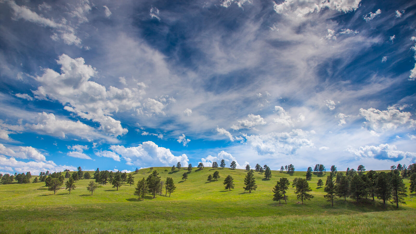 Обои Custer State Park поле холмы на рабочий стол