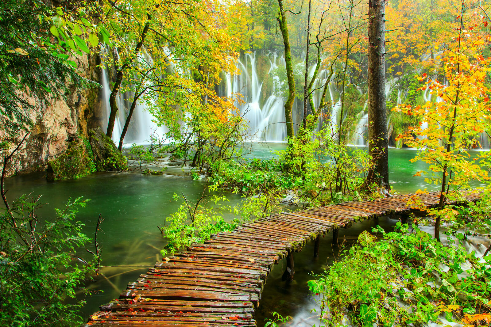 Wallpapers paths Plitvice Lakes trees on the desktop