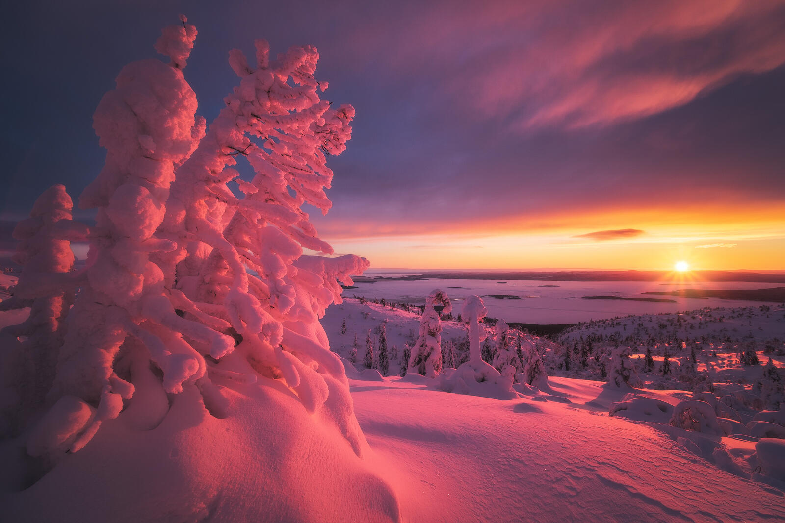 免费照片北极圈内的粉色夕阳