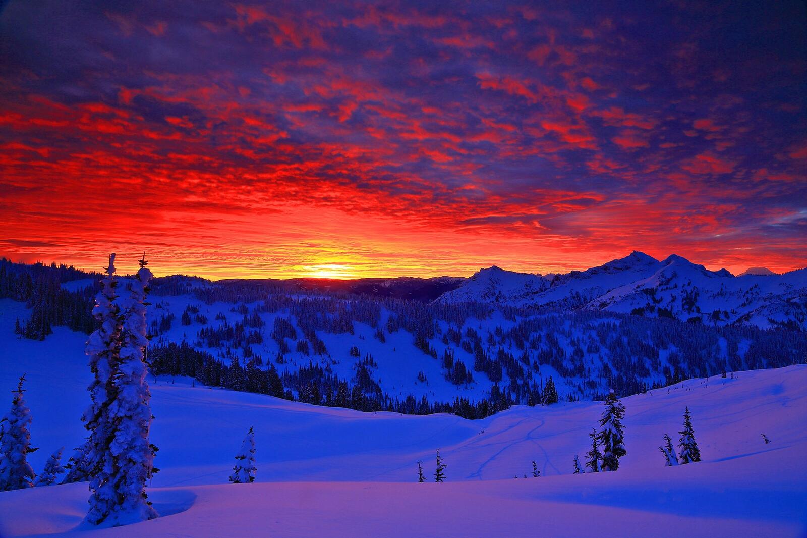 Wallpapers Mt Rainier National Park Washington sunset on the desktop