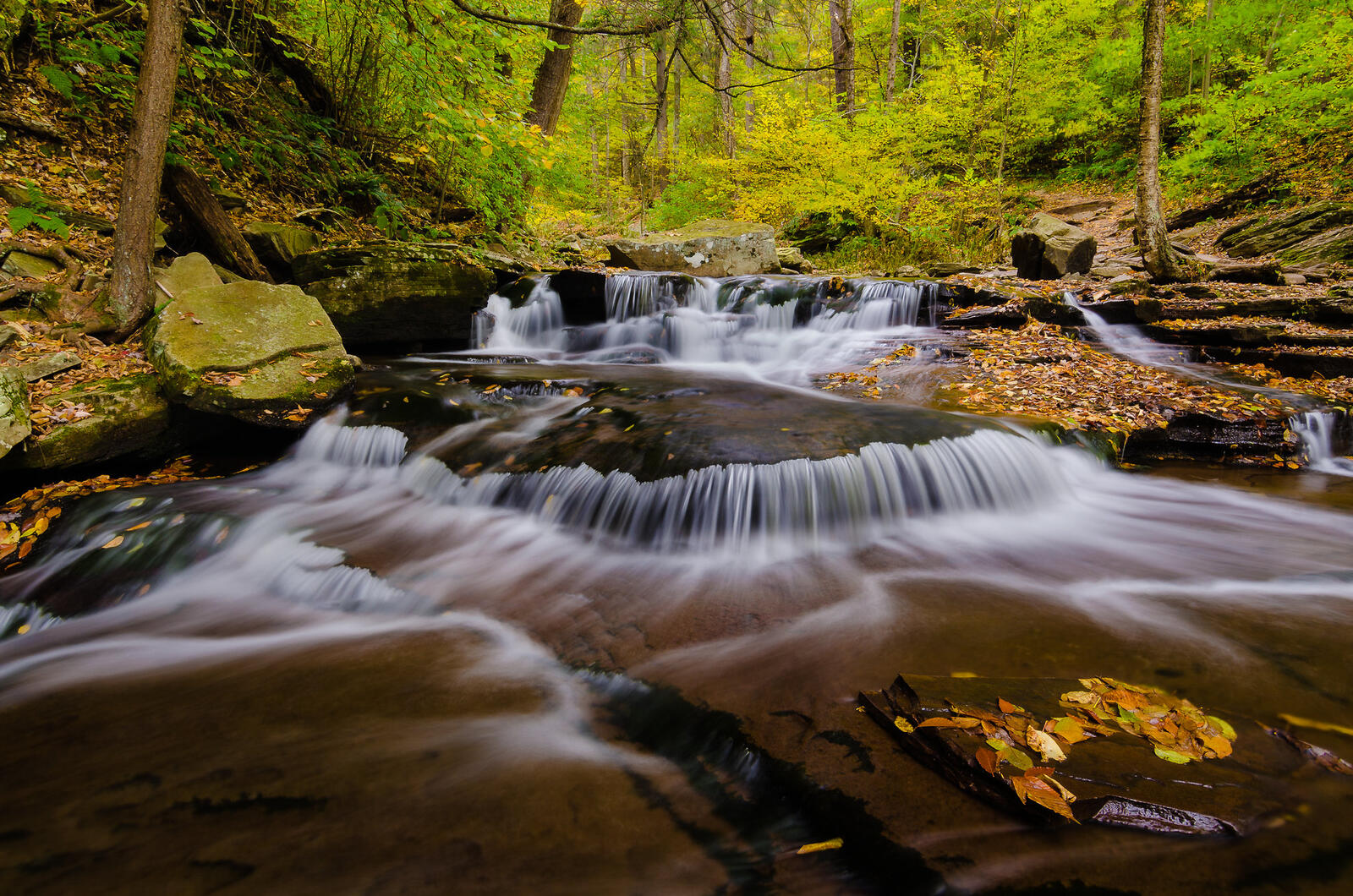 Wallpapers Ricketts Glen State Park autumn river on the desktop