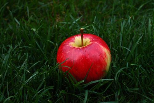 Яблоко на траве