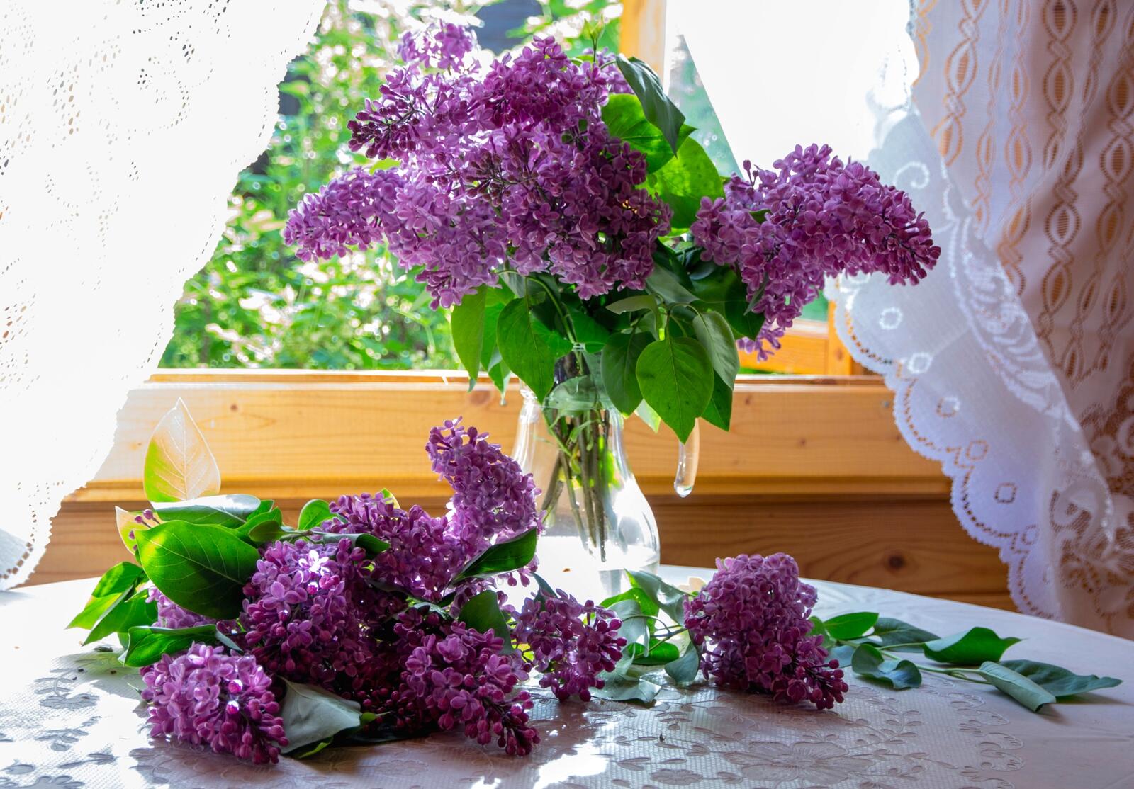 Обои цветы ваза фиолетовые цветы на рабочий стол