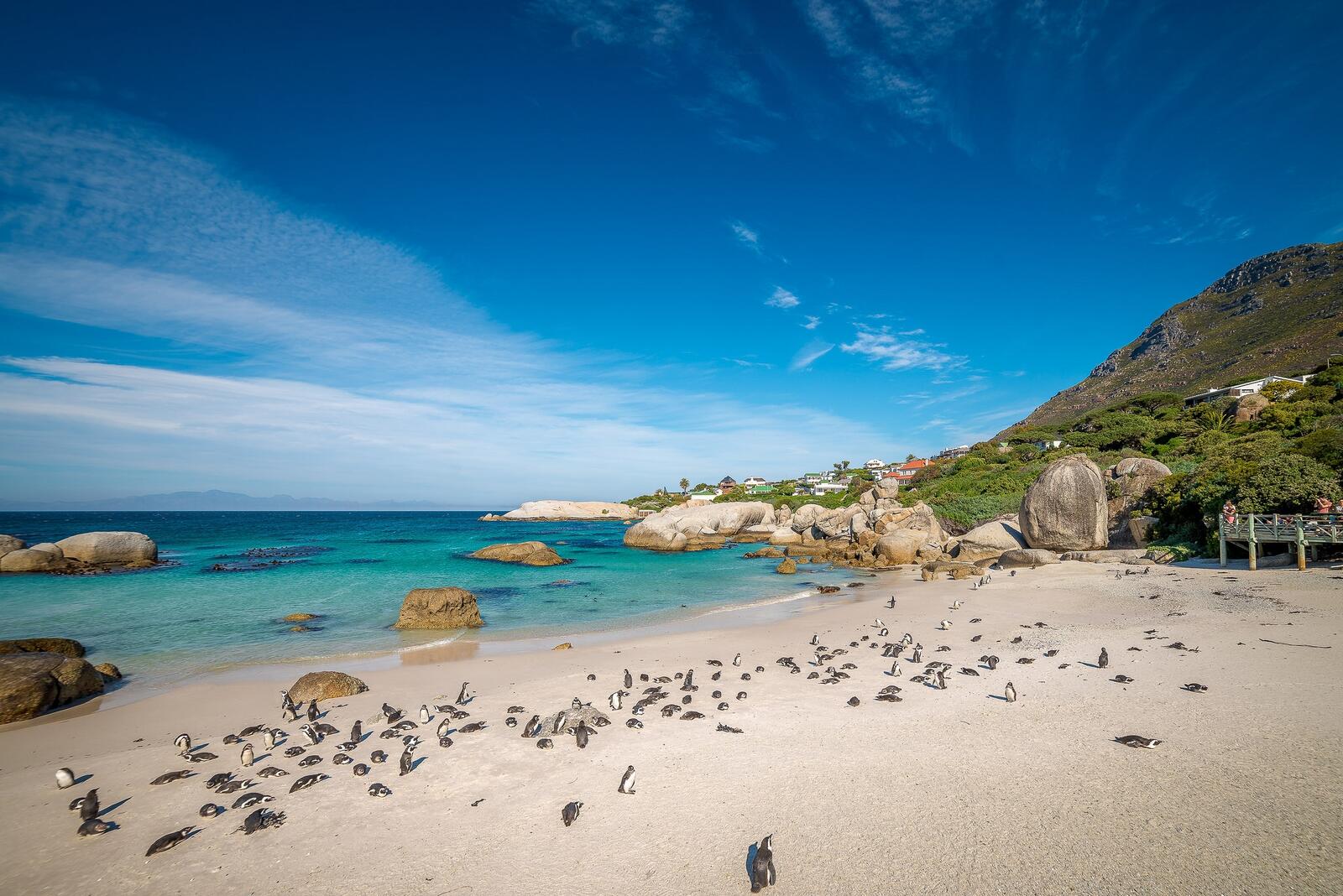 Обои Пляж Боулдера Полуостров Кап Кейптаун на рабочий стол