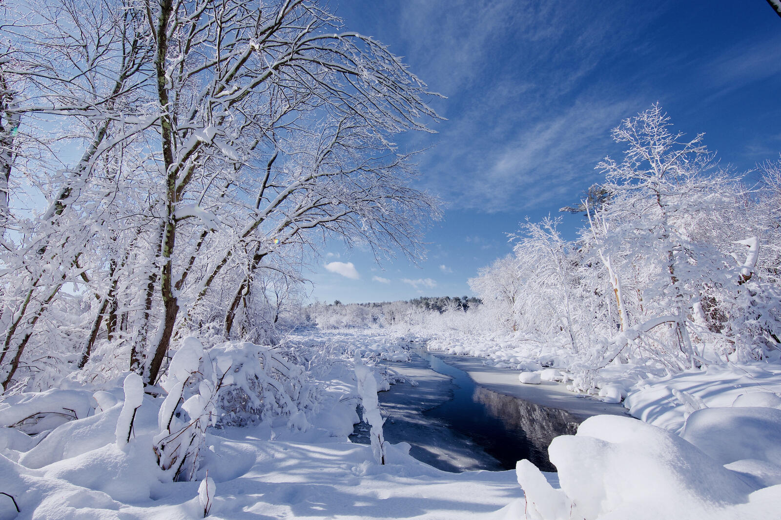 Wallpapers snowdrifts trees river on the desktop