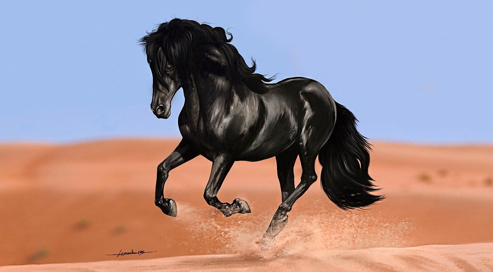 Free photo Black horse rides across the desert