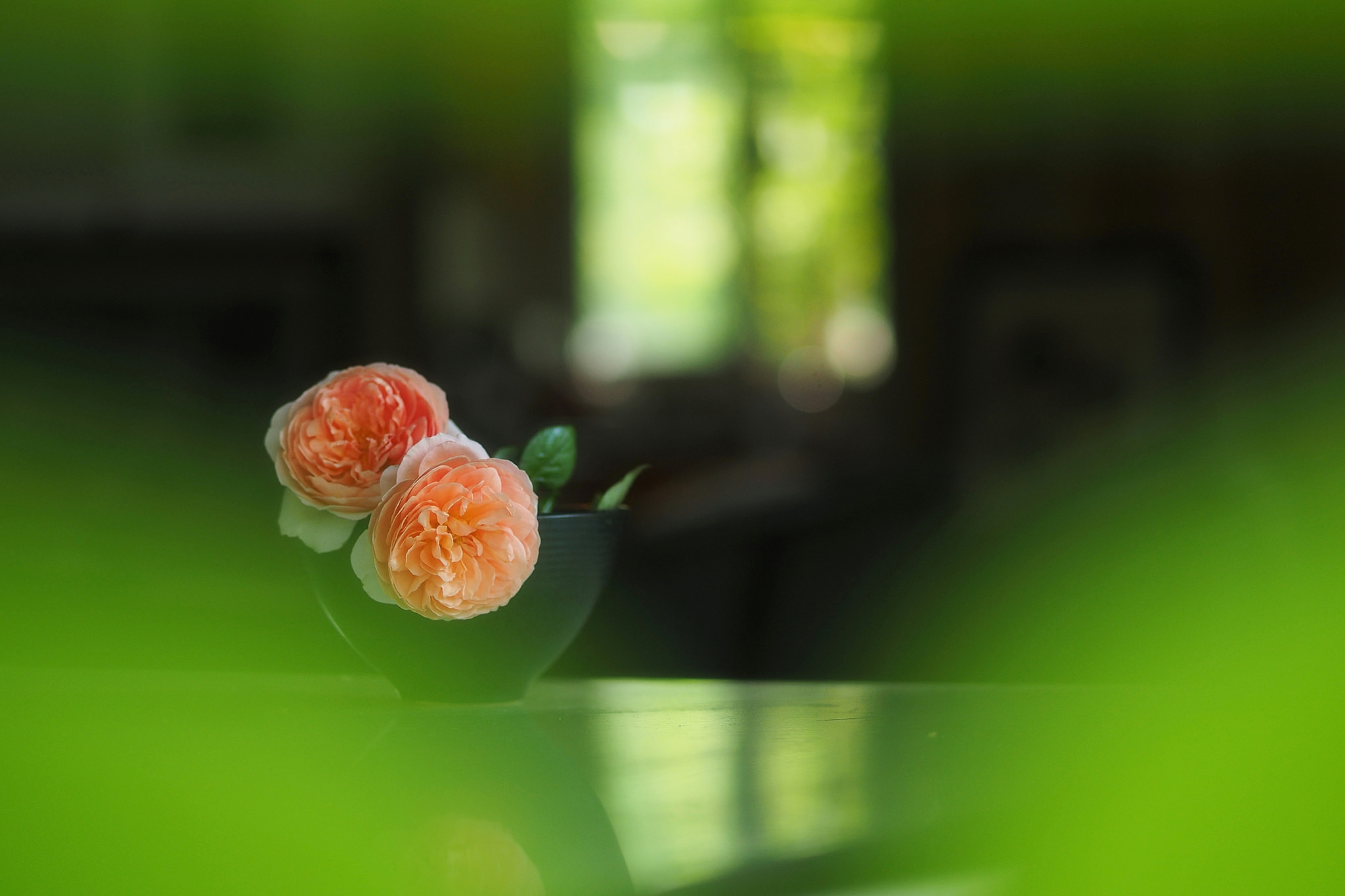 Обои флора роза две розы на рабочий стол